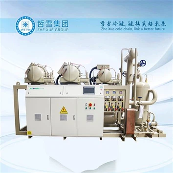 واحد متراکم آب خنک با کمپرسور پیچ برای ذخیره سازی گوشت در سرد