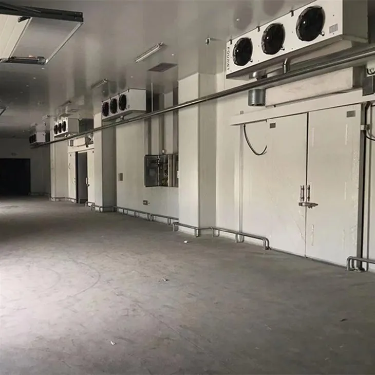 میوه و سبزیجات تازه اتاق سرد